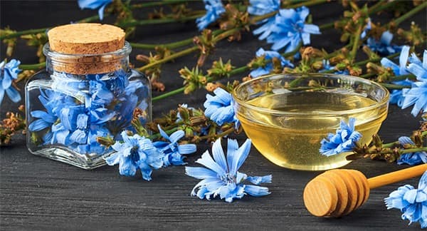 تصویر 1 از قیمت خرید عرق گیاهی کاسنی با فروش عمده